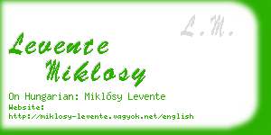 levente miklosy business card